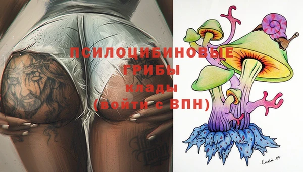 кокаин перу Богданович