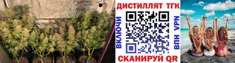 ТГК гашишное масло  дарнет шоп  МЕГА сайт  Дивногорск 