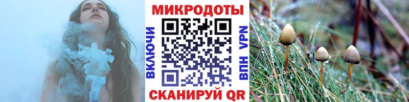 где найти   Дивногорск  Галлюциногенные грибы GOLDEN TEACHER 