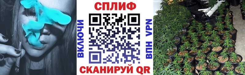 Каннабис SATIVA & INDICA  где купить   Дивногорск 